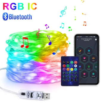 RGBIC LED Reťazec WS2812B Bluetooth USB Hudby Sen Farba Svetla 5V Vianoce, Narodeniny, Party Garland Dekor Rozprávkových Svetiel pre Domáce