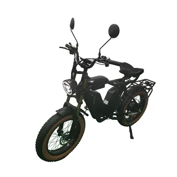Bafang motorových 52v 1000w 22ah*2 Dual Batérií Elektrický Bicykel Mesto Tuku Retro